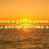 Значение и роль кровеносной системы для организма человека