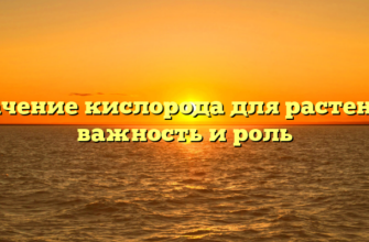 Значение кислорода для растений: важность и роль