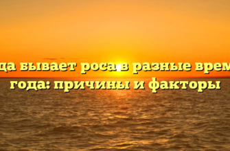 Когда бывает роса в разные времена года: причины и факторы