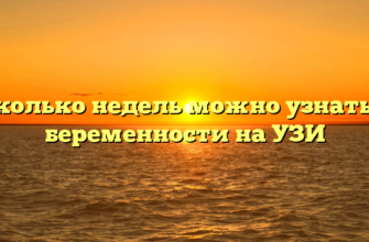 Сколько недель можно узнать о беременности на УЗИ