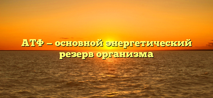 АТФ — основной энергетический резерв организма