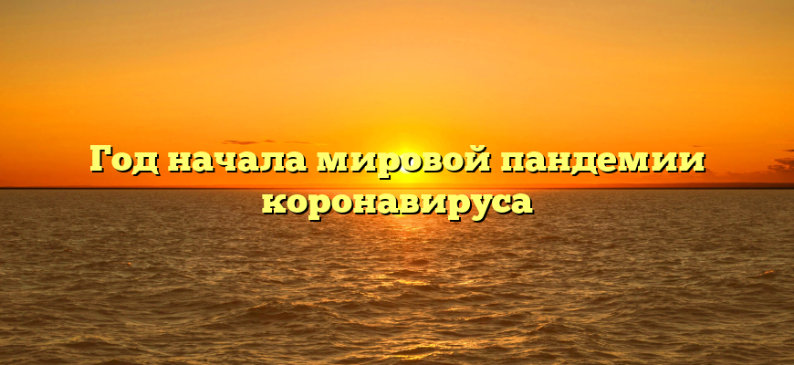 Год начала мировой пандемии коронавируса