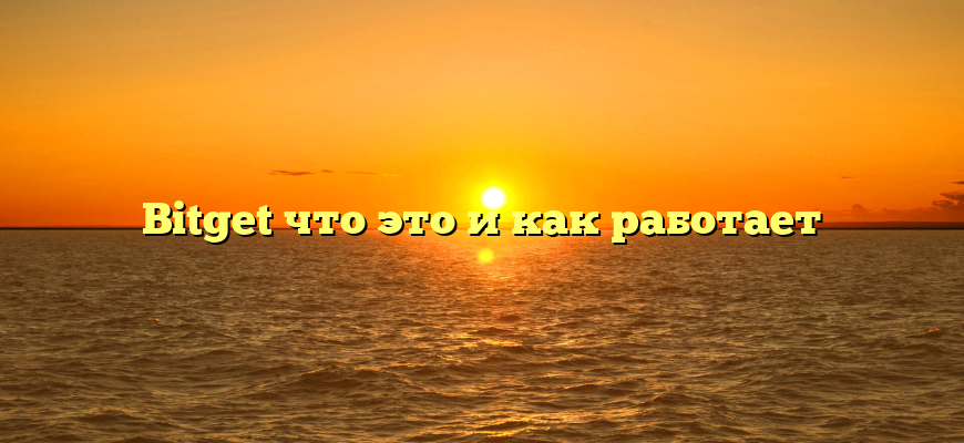 Bitget что это и как работает