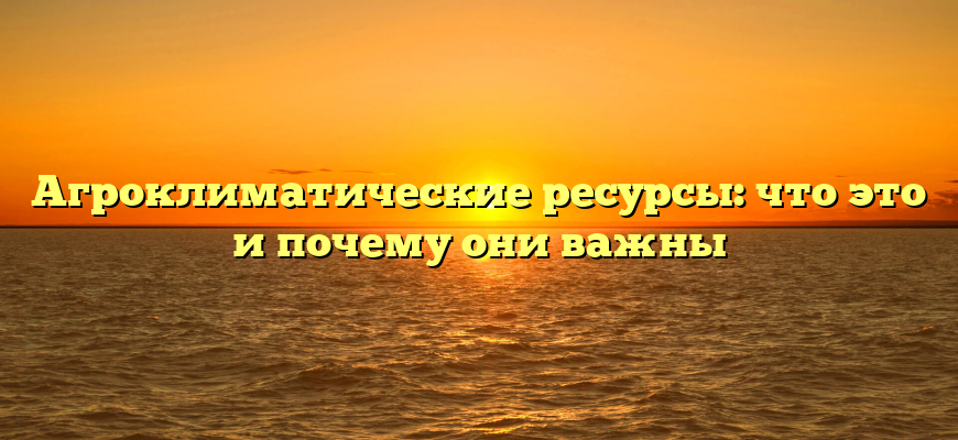 Агроклиматические ресурсы: что это и почему они важны