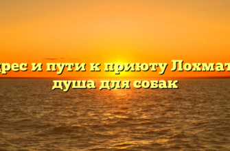 Адрес и пути к приюту Лохматая душа для собак