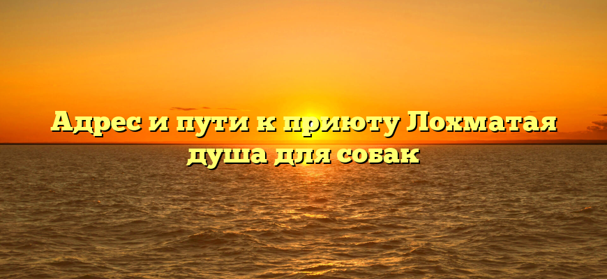 Адрес и пути к приюту Лохматая душа для собак