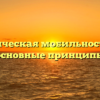 Академическая мобильность: суть и основные принципы