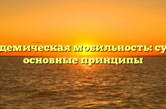 Академическая мобильность: суть и основные принципы