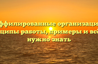 Аффилированные организации: принципы работы, примеры и всё, что нужно знать