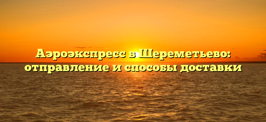 Аэроэкспресс в Шереметьево: отправление и способы доставки
