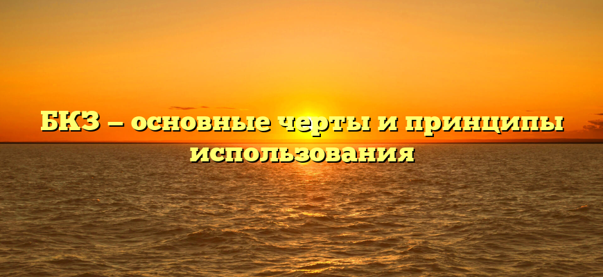 БКЗ — основные черты и принципы использования