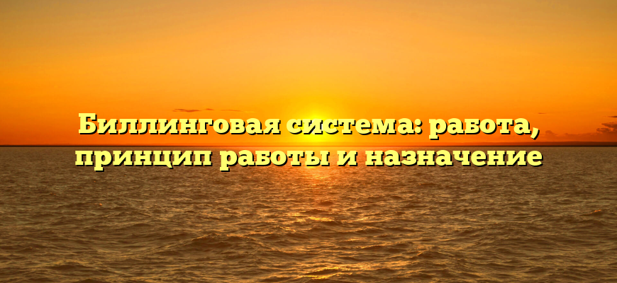 Биллинговая система: работа, принцип работы и назначение