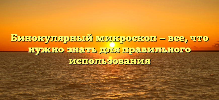 Бинокулярный микроскоп — все, что нужно знать для правильного использования