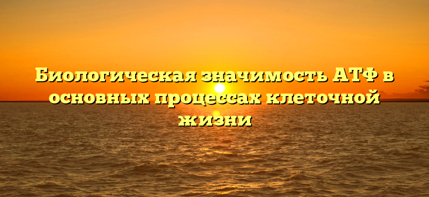 Биологическая значимость АТФ в основных процессах клеточной жизни