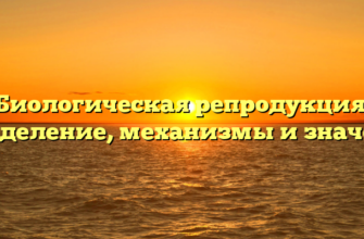 Биологическая репродукция: определение, механизмы и значение