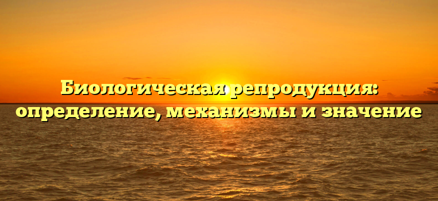 Биологическая репродукция: определение, механизмы и значение