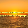 Биологическая эволюция и ее механизмы в природе