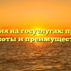 Биометрия на госуслугах: принципы работы и преимущества