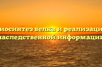 Биосинтез белка и реализация наследственной информации