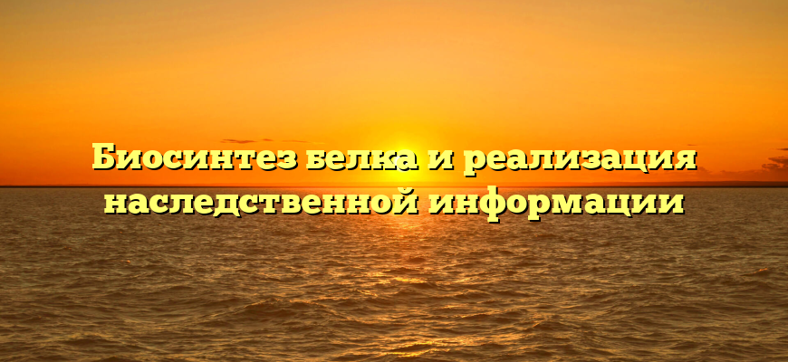 Биосинтез белка и реализация наследственной информации