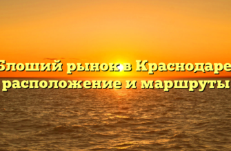 Блоший рынок в Краснодаре: расположение и маршруты