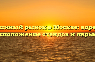 Блошиный рынок в Москве: адреса и расположение стендов и ларьков