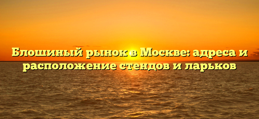 Блошиный рынок в Москве: адреса и расположение стендов и ларьков
