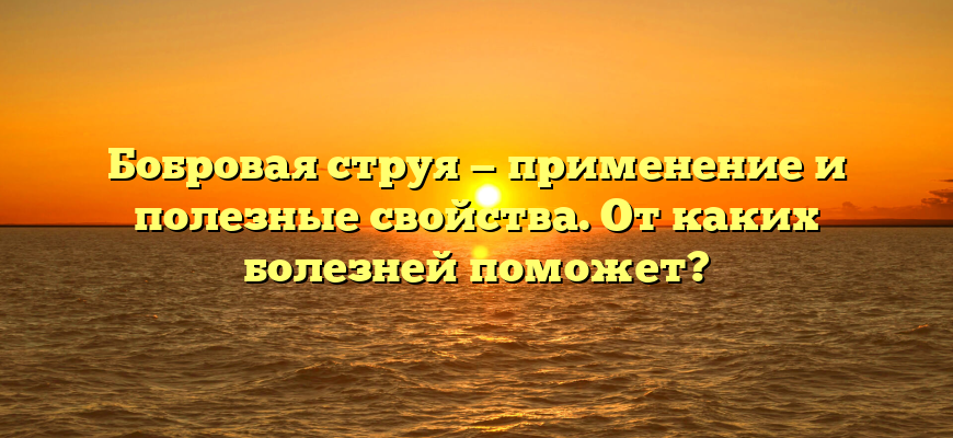 Бобровая струя — применение и полезные свойства. От каких болезней поможет?