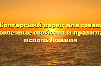Болгарский перец для собак: полезные свойства и правила использования