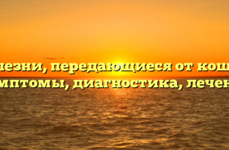 Болезни, передающиеся от кошек: симптомы, диагностика, лечение
