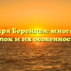 В саду царя Берендея: многообразие яблок и их особенности