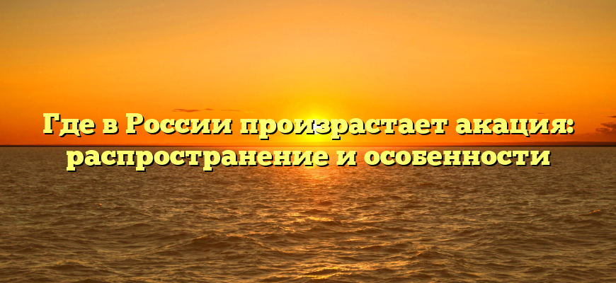 Где в России произрастает акация: распространение и особенности