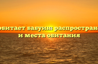 Где обитает бабуин: распространение и места обитания