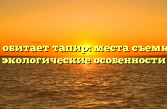 Где обитает тапир: места съемки и экологические особенности