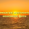 Гора Аконкагуа: местоположение, описание, фото