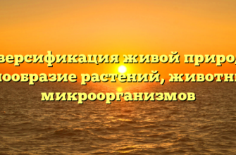 Диверсификация живой природы: разнообразие растений, животных и микроорганизмов