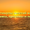Дивертикулы толстой кишки: симптомы, причины и лечение