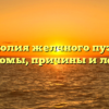 Дисхолия желчного пузыря: симптомы, причины и лечение
