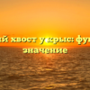 Длинный хвост у крыс: функции и значение