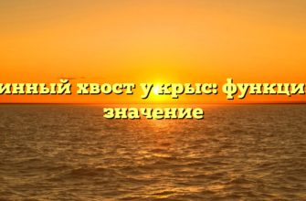 Длинный хвост у крыс: функции и значение