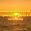 Добавочная долька селезенки функции строение и роль в организме человека