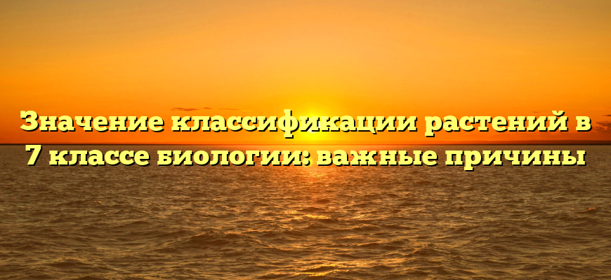 Значение классификации растений в 7 классе биологии: важные причины