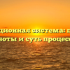 Информационная система: принципы работы и суть процессов