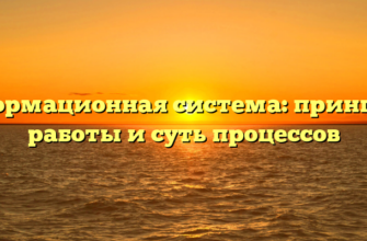 Информационная система: принципы работы и суть процессов