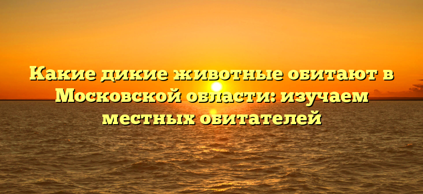 Какие дикие животные обитают в Московской области: изучаем местных обитателей