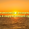 Микроорганизмы в воздухе: виды и роль в окружающей среде