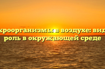 Микроорганизмы в воздухе: виды и роль в окружающей среде