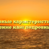 Основные характеристики и применение каи: подробный обзор