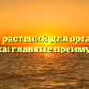 Польза растений для организма человека: главные преимущества