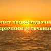 Почему болит поджелудочная железа причины и лечение